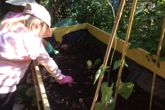 233ADA58-40BA-46A7-BE73-68BB1E20FDBA