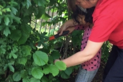 F2BA23E1-832C-48FB-8680-04FC5FC7FA3B