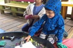 7FD99FCC-AA4A-4C44-9013-16F91473C318