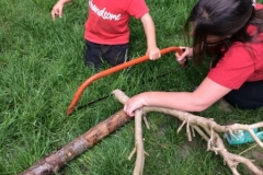 C7274817-CFC9-4314-94A3-63C9900C15CC