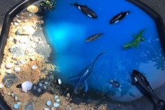 b5727680-bfae-4702-bb83-4fb6bd4e754a